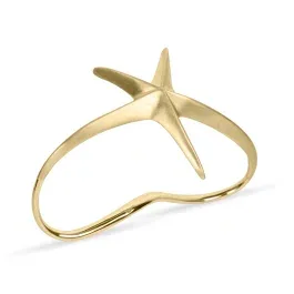 ZAPESTNICA Golden sea star